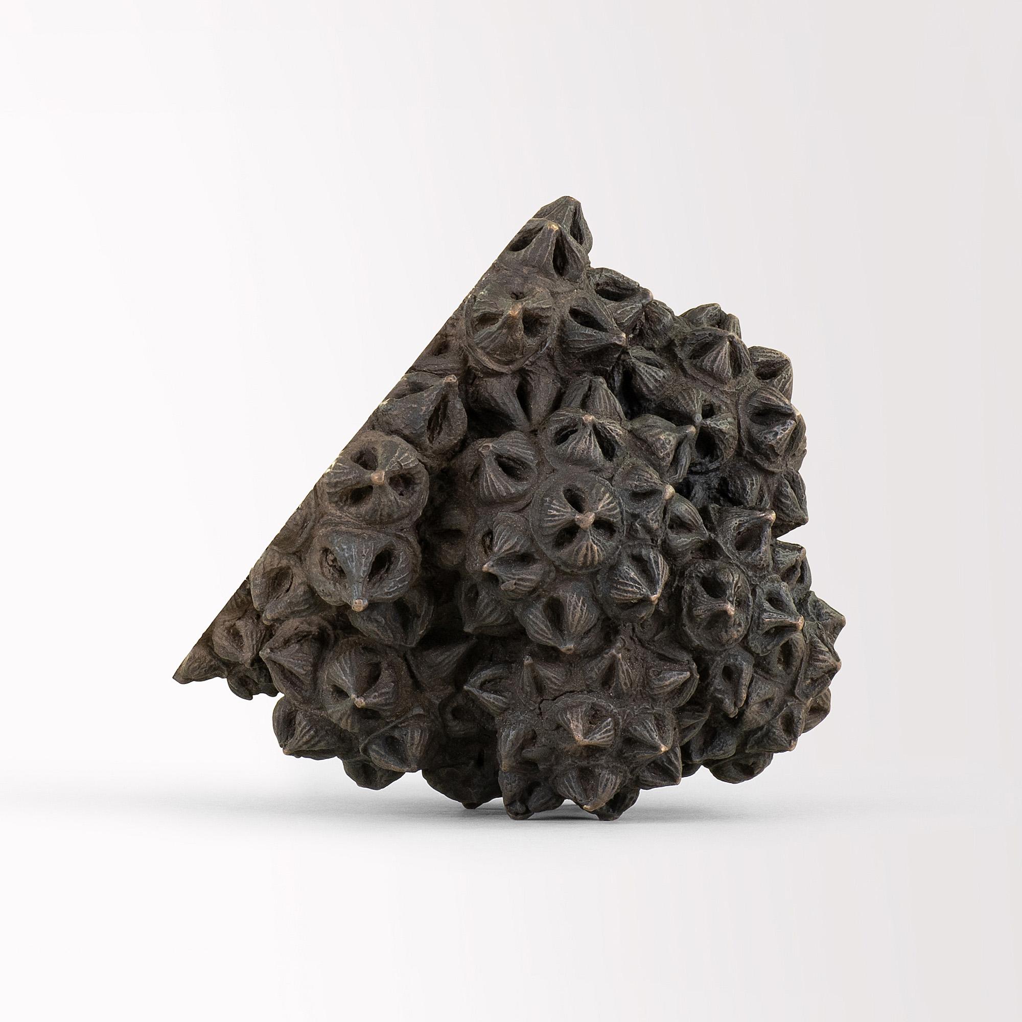 Immortals III von Oliver Ashworth-Martin – Bronzeskulptur „Immortals III“, natürliches Element in Gold im Angebot 2