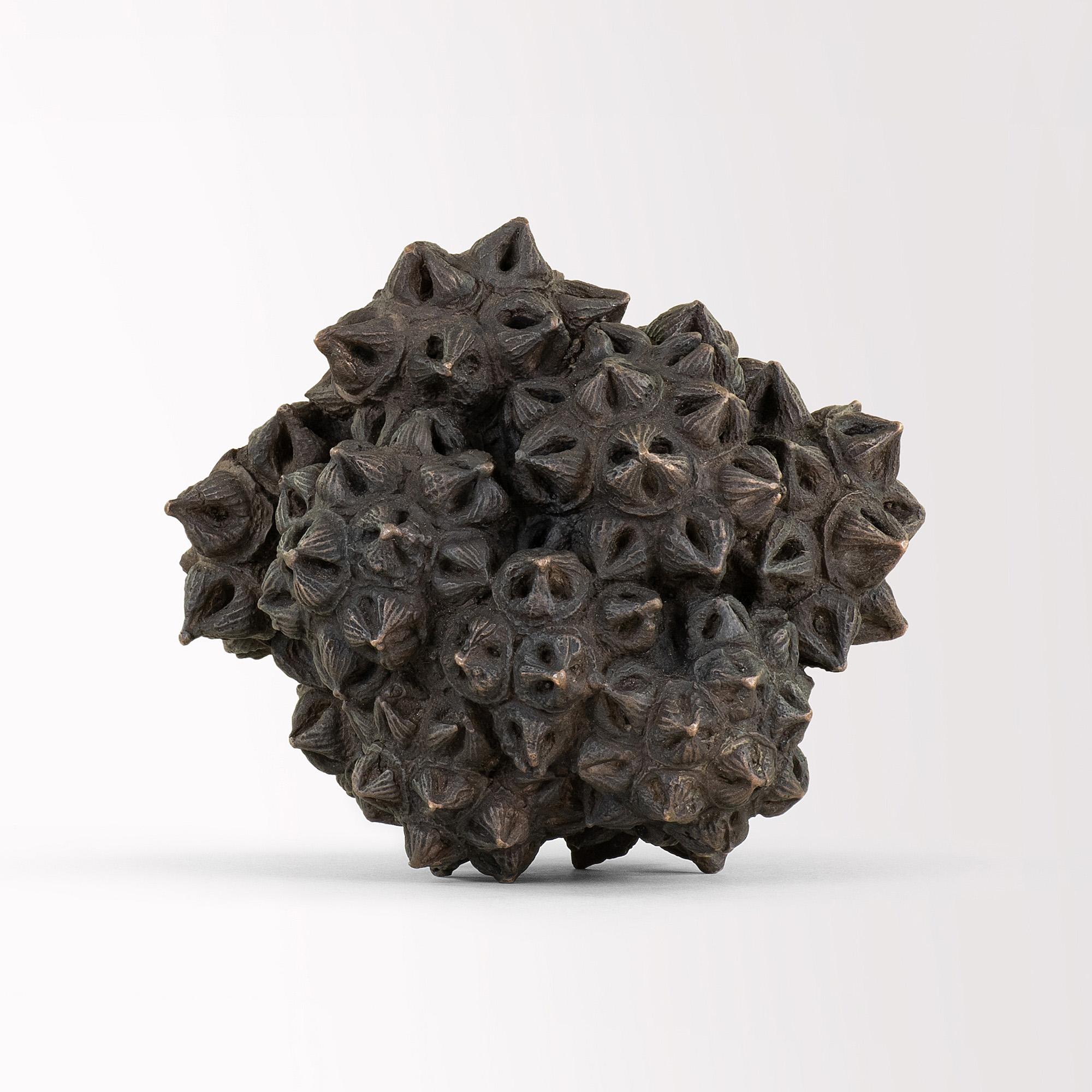 Immortals III von Oliver Ashworth-Martin – Bronzeskulptur „Immortals III“, natürliches Element in Gold im Angebot 3