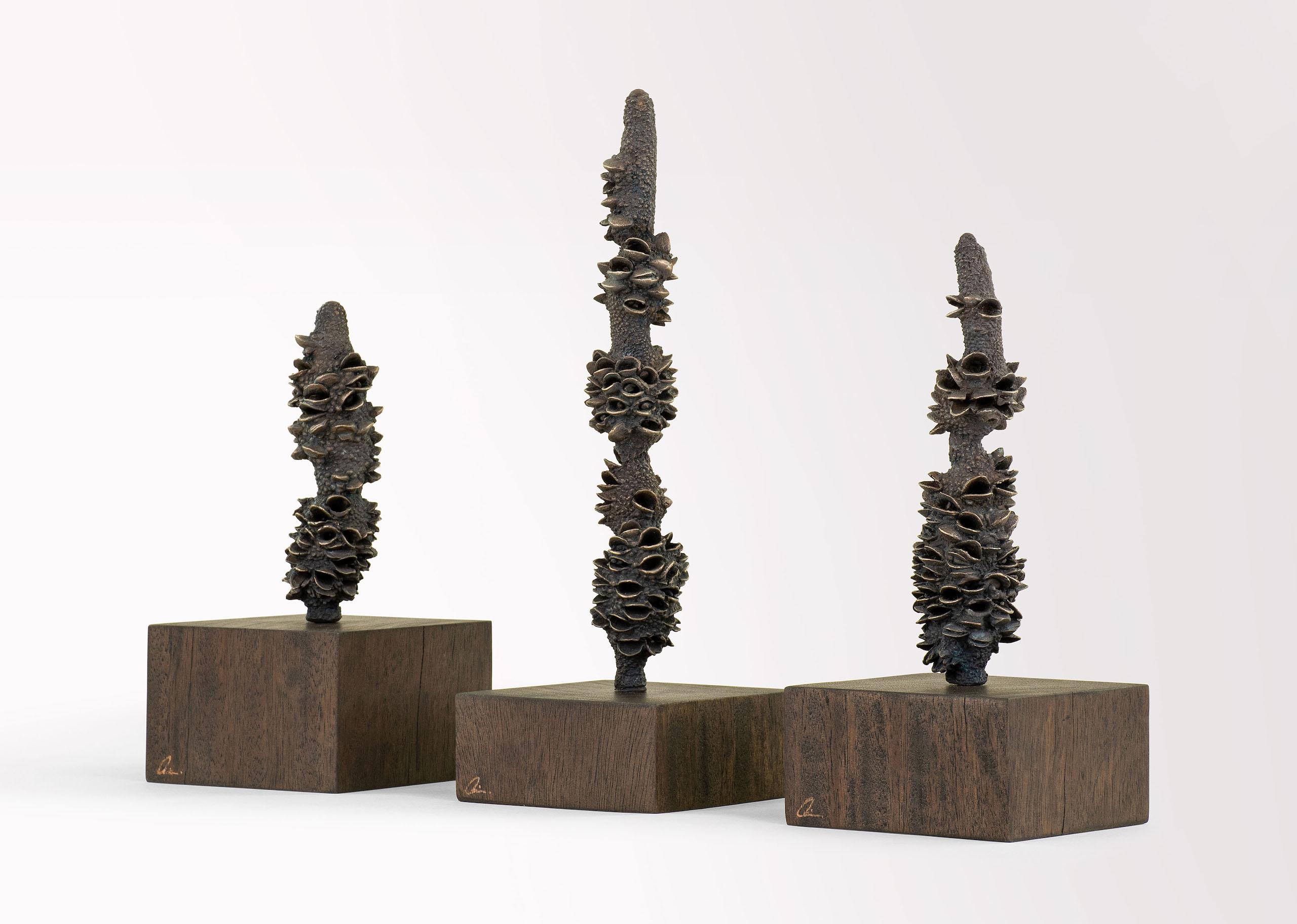Tótems de Oliver Ashworth-Martin - Instalación de bronce, naturaleza, elementos, plantas en venta 1