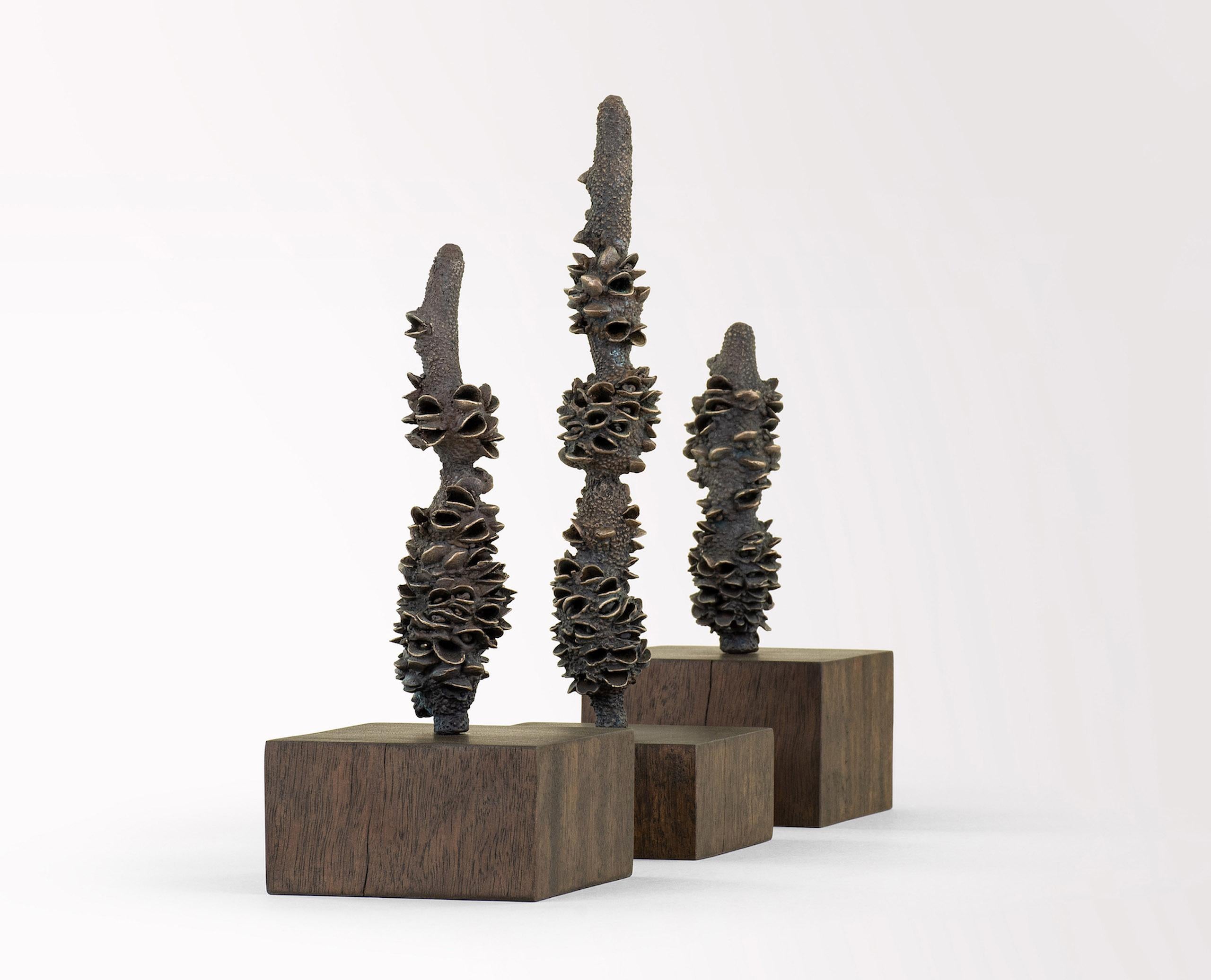 Tótems de Oliver Ashworth-Martin - Instalación de bronce, naturaleza, elementos, plantas en venta 2