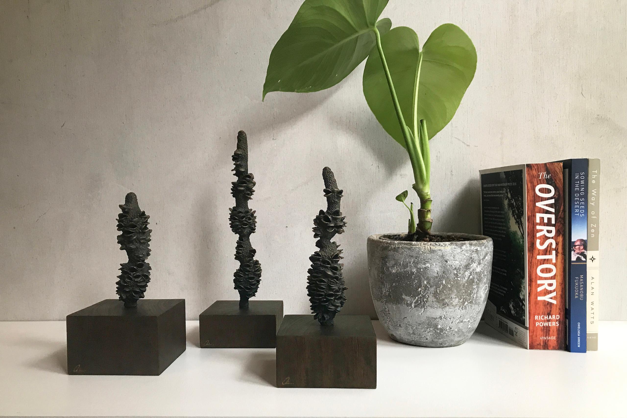 Tótems de Oliver Ashworth-Martin - Instalación de bronce, naturaleza, elementos, plantas en venta 3