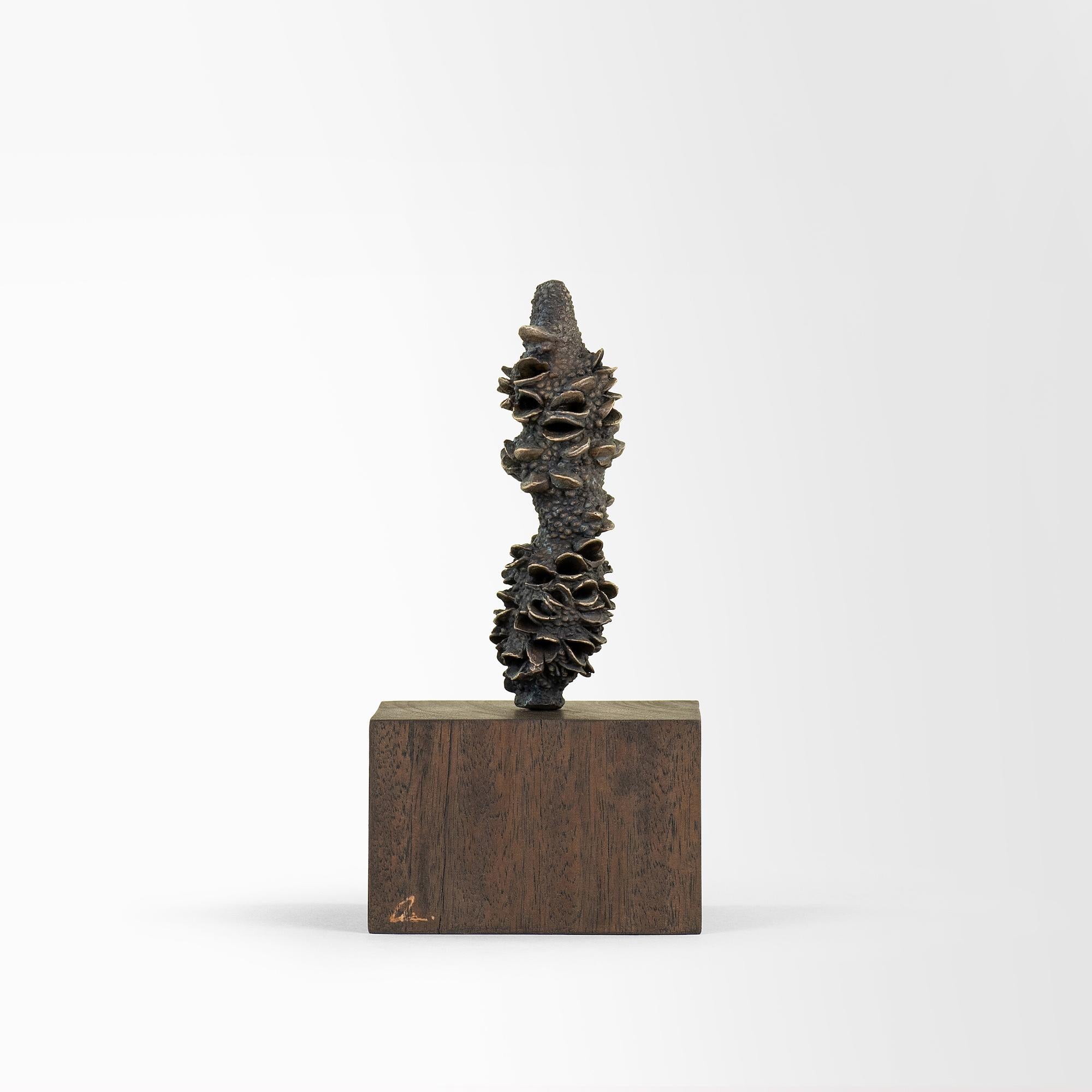 Tótems de Oliver Ashworth-Martin - Instalación de bronce, naturaleza, elementos, plantas en venta 4