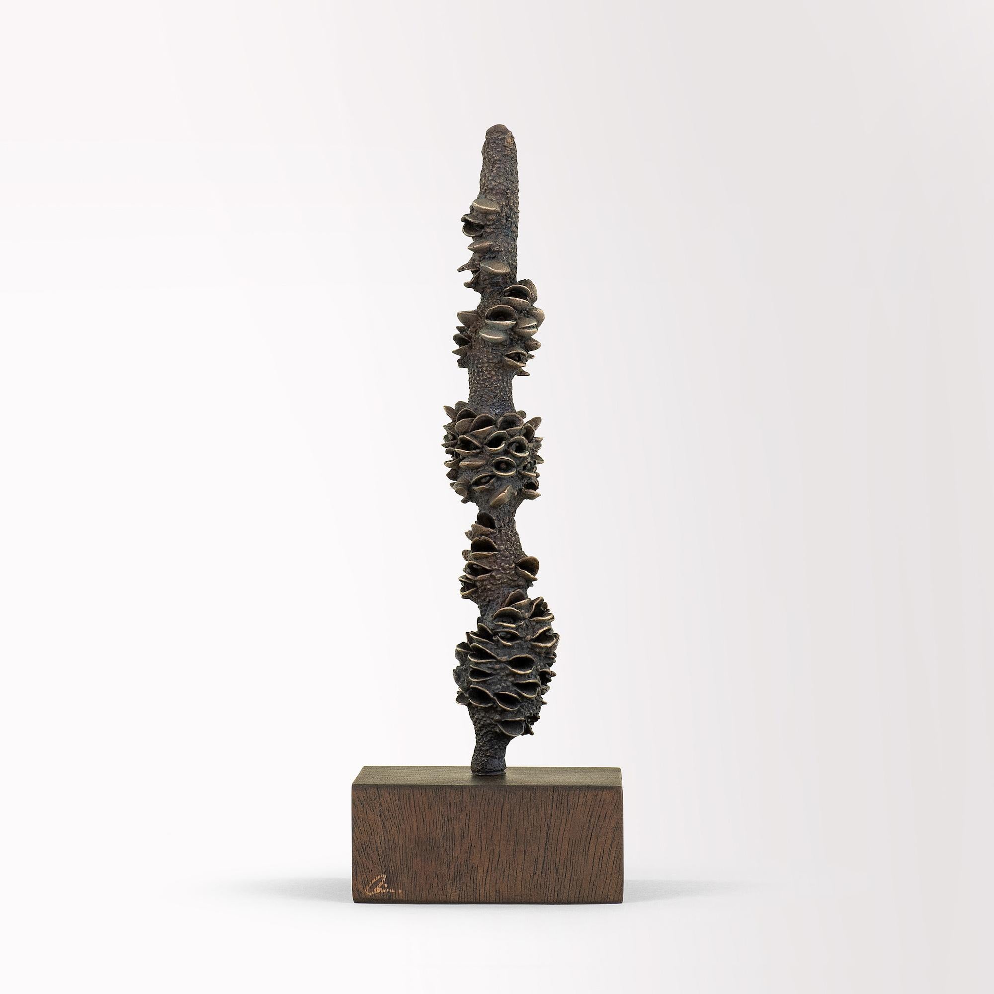 Tótems de Oliver Ashworth-Martin - Instalación de bronce, naturaleza, elementos, plantas en venta 5