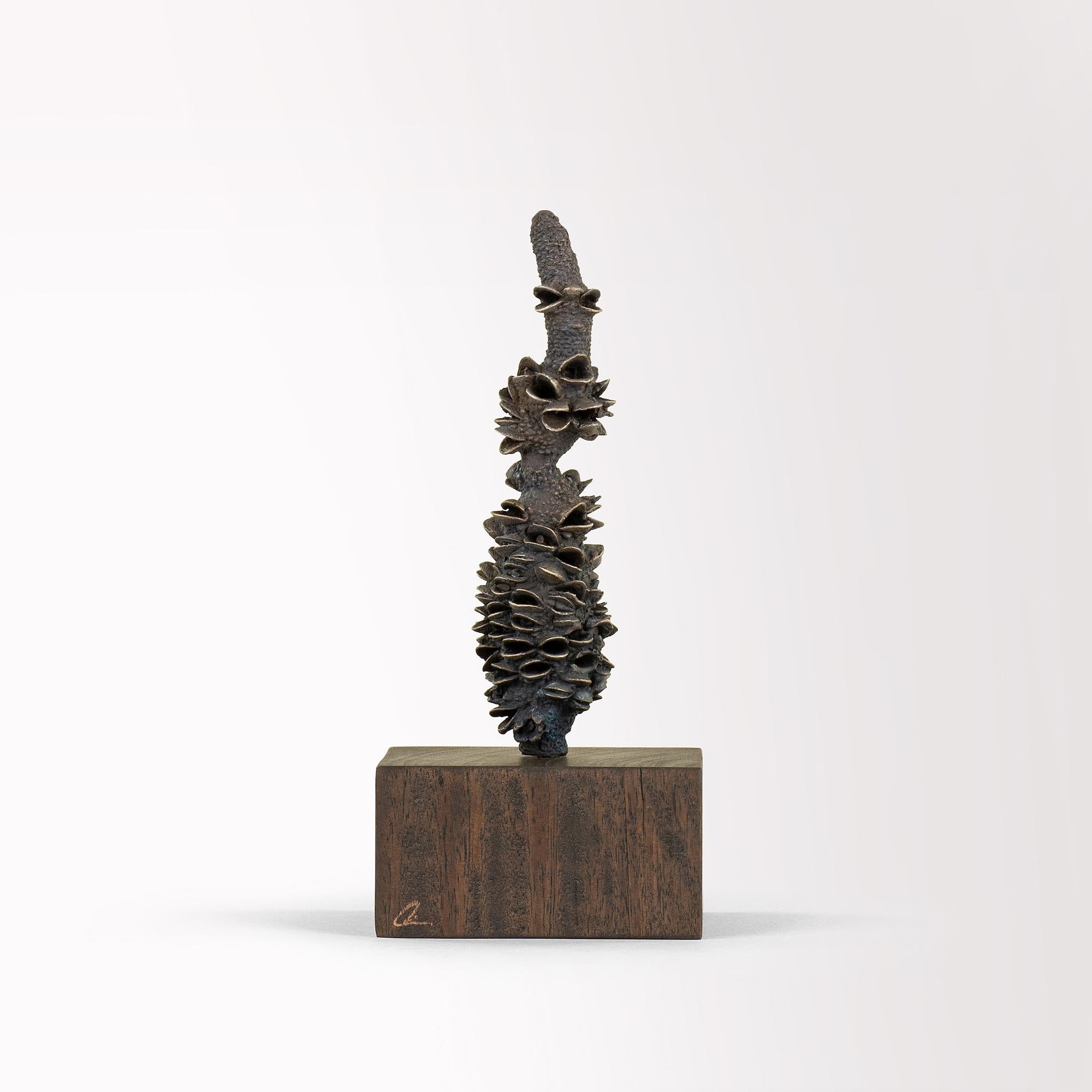 Tótems de Oliver Ashworth-Martin - Instalación de bronce, naturaleza, elementos, plantas en venta 6