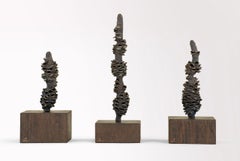 Totem di Oliver Ashworth-Martin - Installazione in bronzo, Nature, elementi, piante