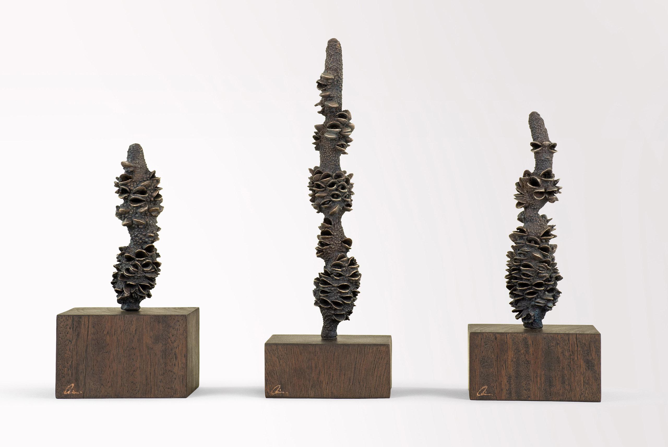 Totems is an installation of three bronze sculptures (gum wood bases) by contemporary English sculptor Oliver Ashworth-Martin, dimensions are 24 × 35 × 9 cm (9.4 × 13.8 × 3.5 in).
This sculpture is signed by the artist and comes with a certificate