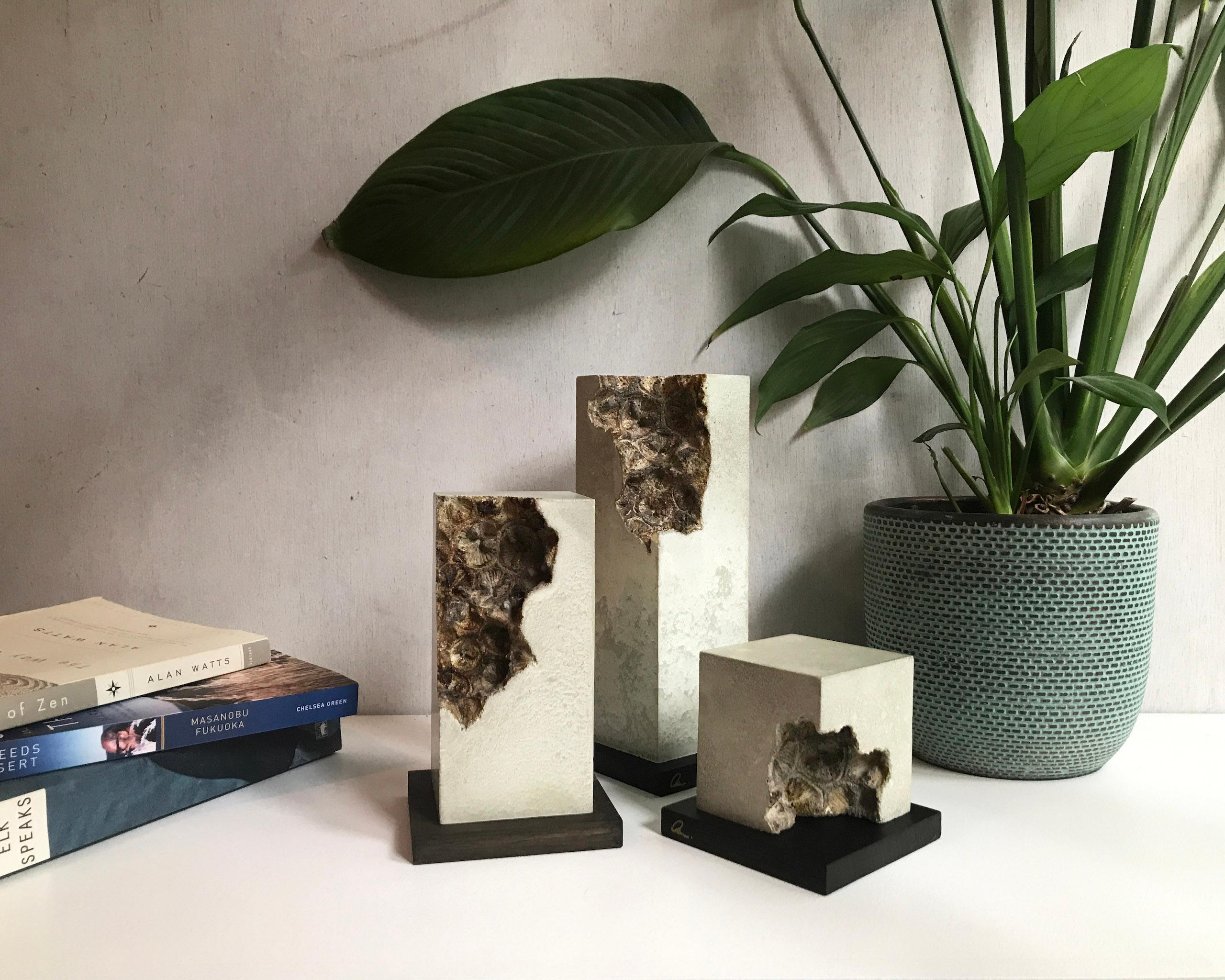 Traces (Trinity) by Oliver Ashworth-Martin - Concrete sculpture, abstract, wood For Sale 3