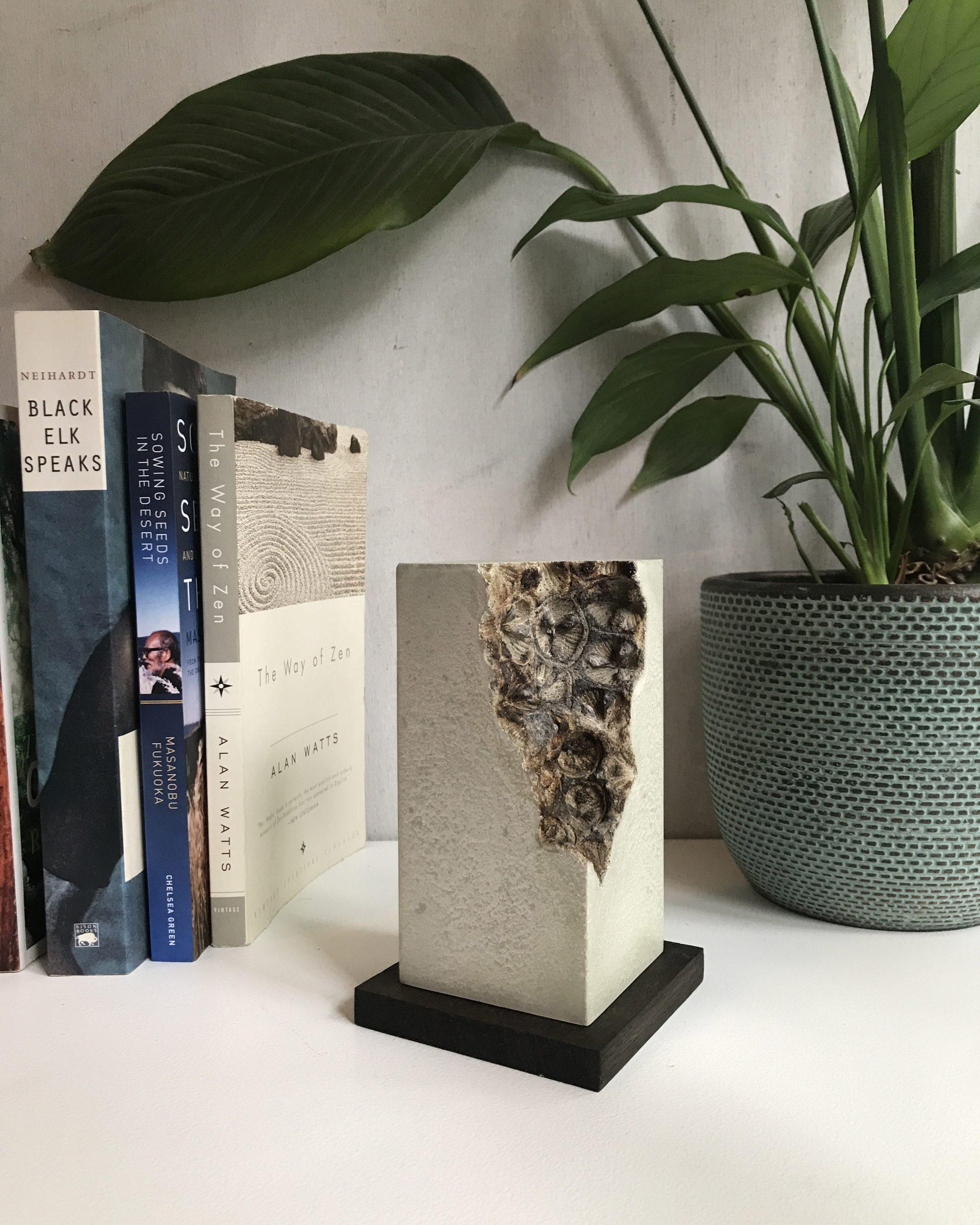 Traces (Trinity) by Oliver Ashworth-Martin - Concrete sculpture, abstract, wood For Sale 6