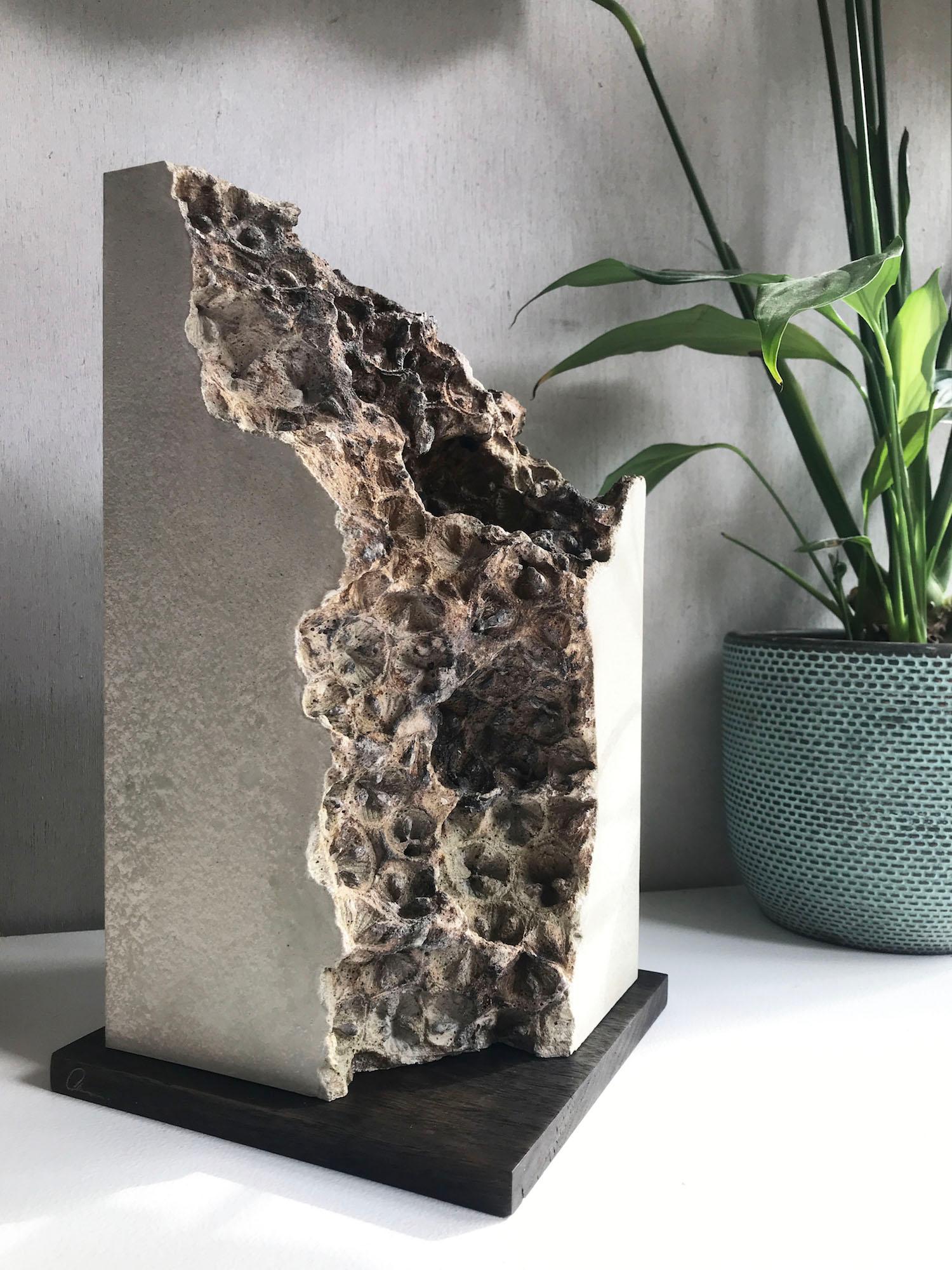 Traces V by Oliver Ashworth-Martin - Concrete sculpture, abstract, nature, seed For Sale 9