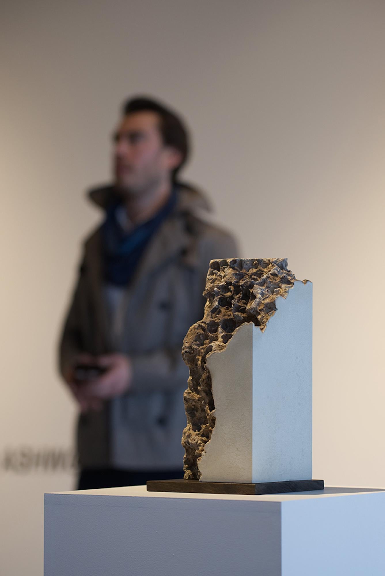 Plateaux V d'Oliver Ashworth-Martin, sculpture en béton, abstrait, nature, graine en vente 3