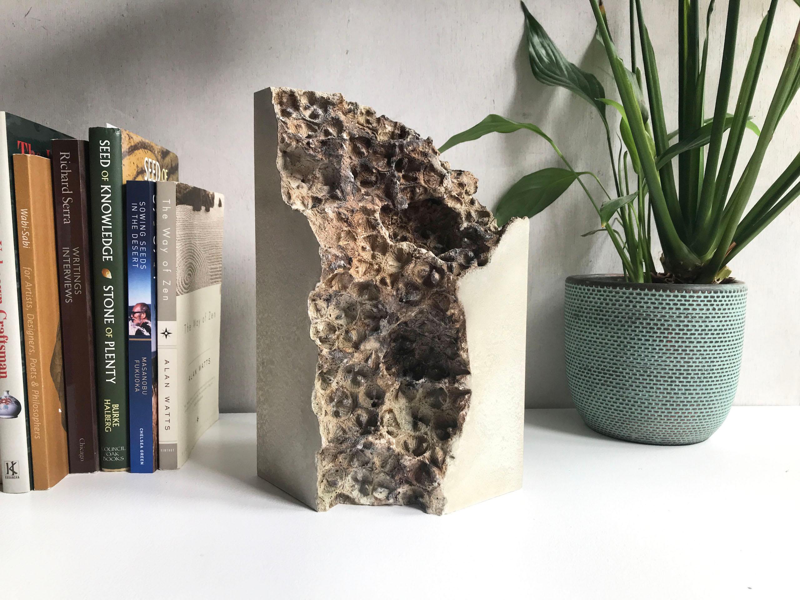 Traces V by Oliver Ashworth-Martin - Concrete sculpture, abstract, nature, seed For Sale 8