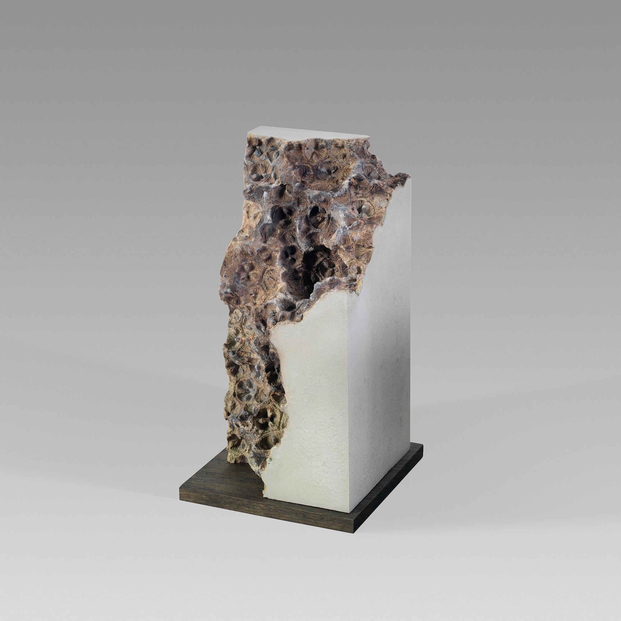 Traces V est une sculpture en béton unique réalisée par le sculpteur anglais contemporain Oliver Ashworth-Martin. Ses dimensions sont de 26 × 13 × 13 cm (10.2 × 5.1 × 5.1 in).
Cette sculpture est signée par l'artiste et accompagnée d'un certificat