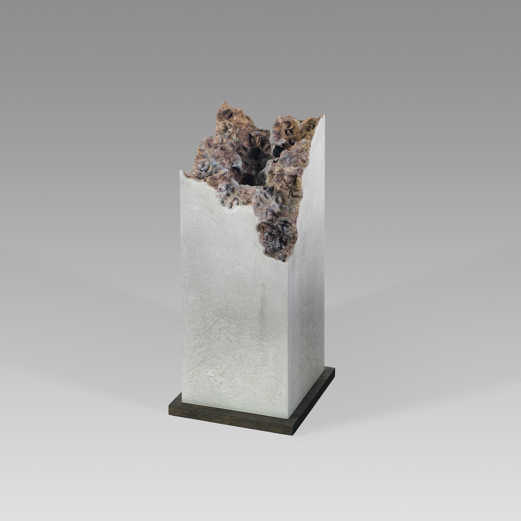 Traces VI est une sculpture en béton unique réalisée par le sculpteur anglais contemporain Oliver Ashworth-Martin. Ses dimensions sont les suivantes  32 × 13 × 13 cm (12.6 × 5.1 × 5.1 in).
Cette œuvre est signée par l'artiste et accompagnée d'un