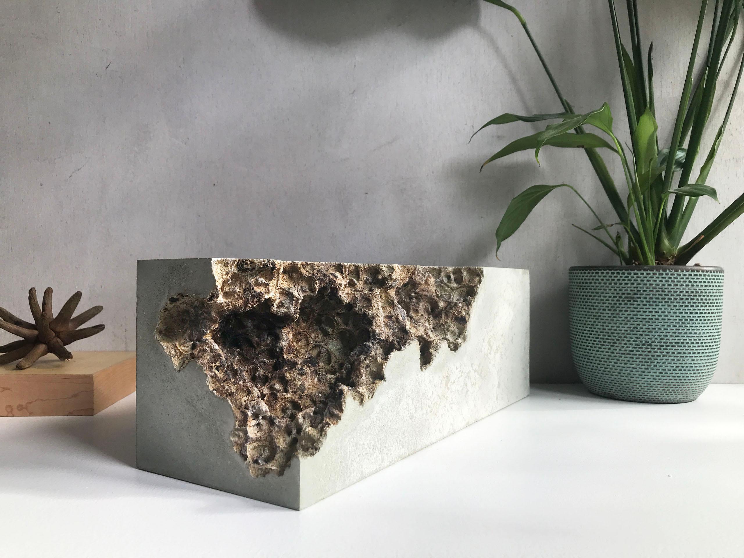 Huellas VII de Oliver Ashworth-Martin - Escultura de hormigón, abstracta, naturaleza en venta 9