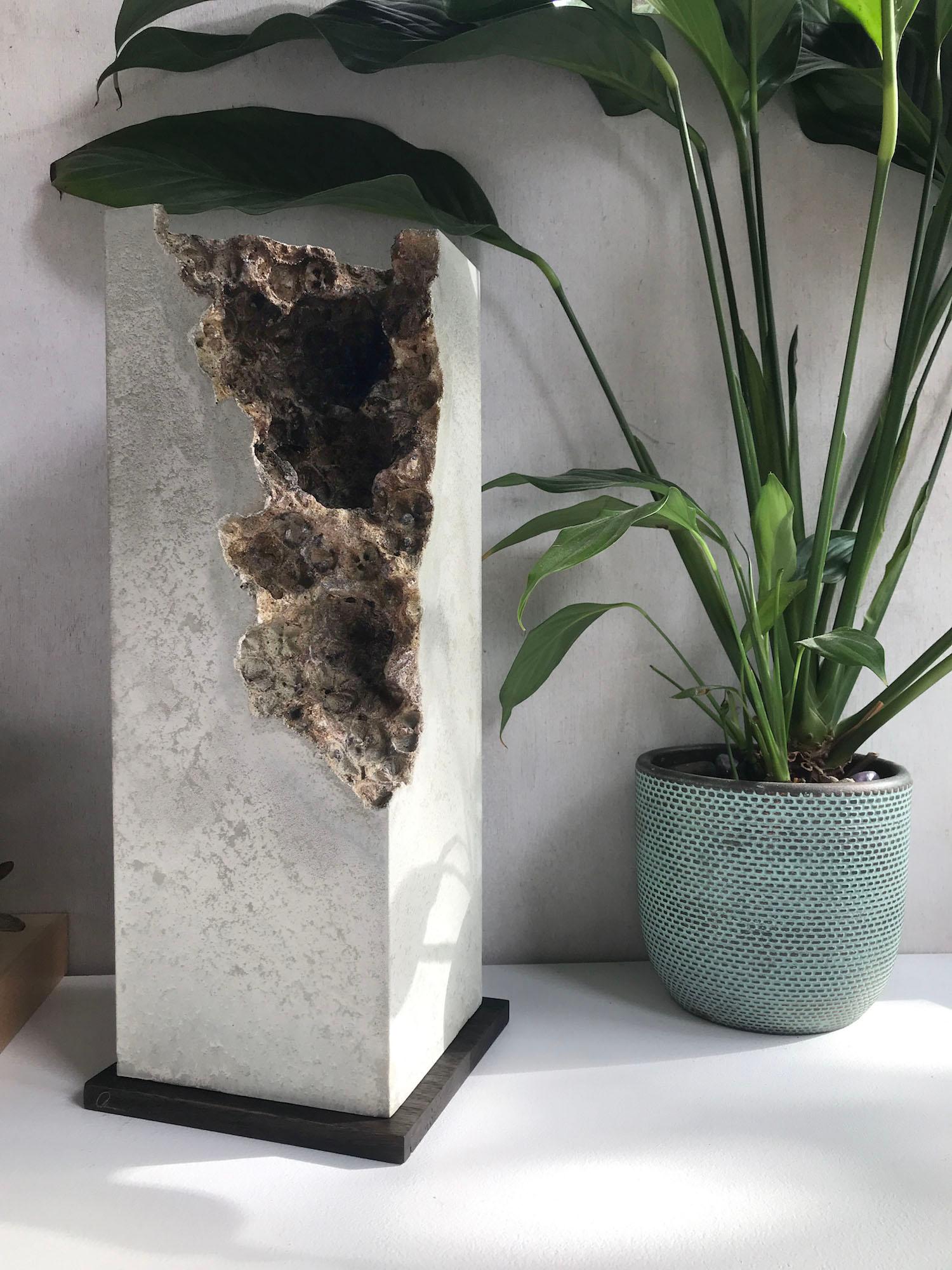 Huellas VII de Oliver Ashworth-Martin - Escultura de hormigón, abstracta, naturaleza en venta 10