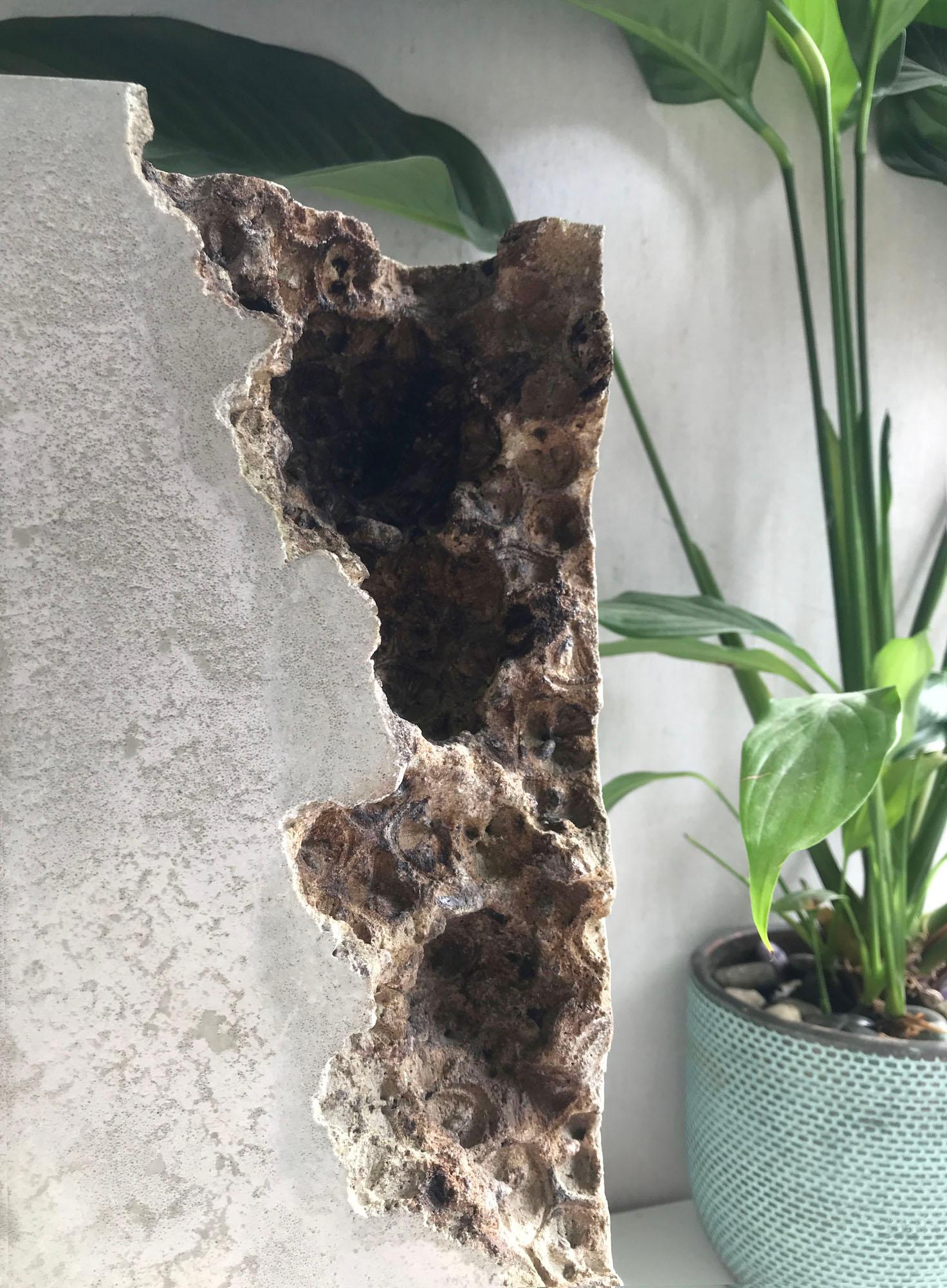Huellas VII de Oliver Ashworth-Martin - Escultura de hormigón, abstracta, naturaleza en venta 8