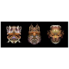 Triptych #2 - Abstract Photography