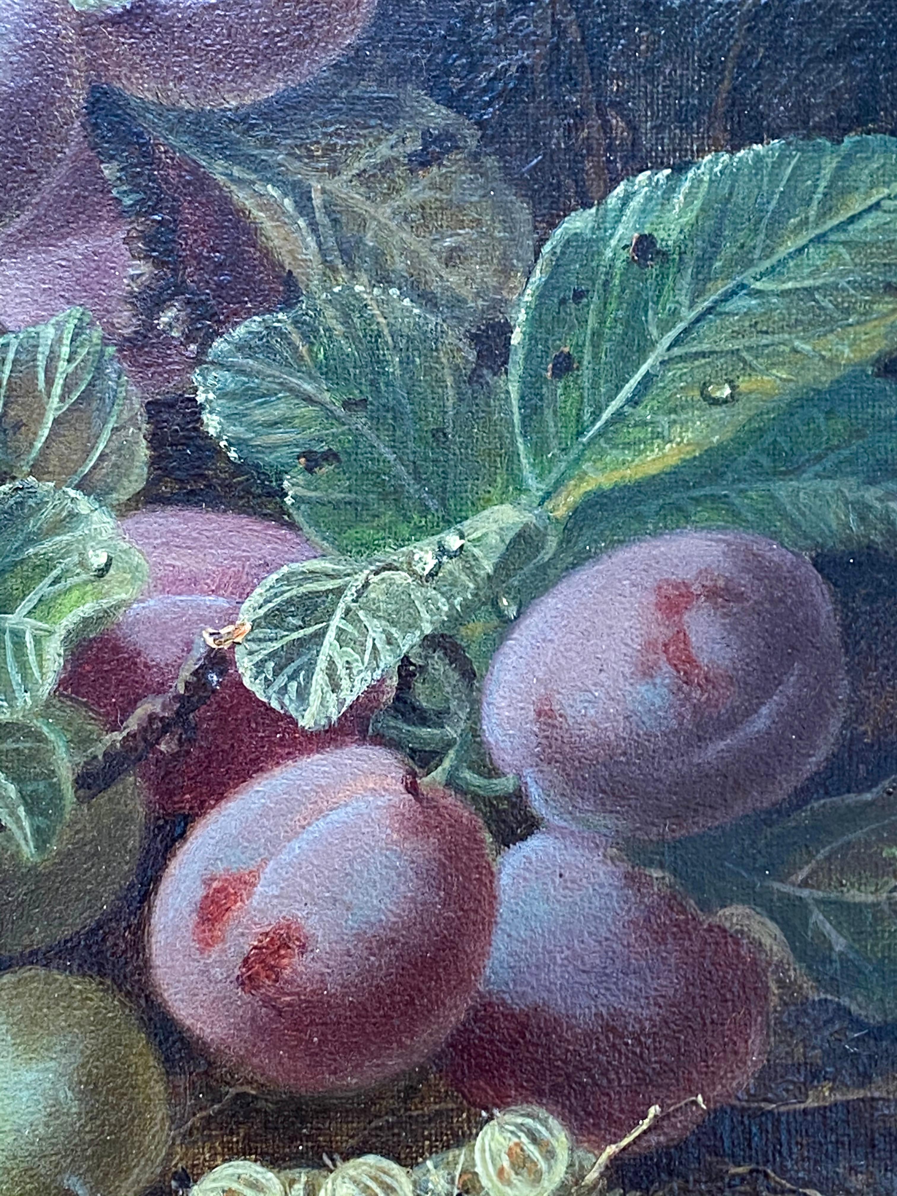 Voici pour votre considération une remarquable peinture de nature morte de prunes et de fruits assortis par le maître artiste anglais, Oliver Clare. Signé en bas à droite.  Date d'environ 1890.  En très bon état d'origine ; pas de restaurations. 