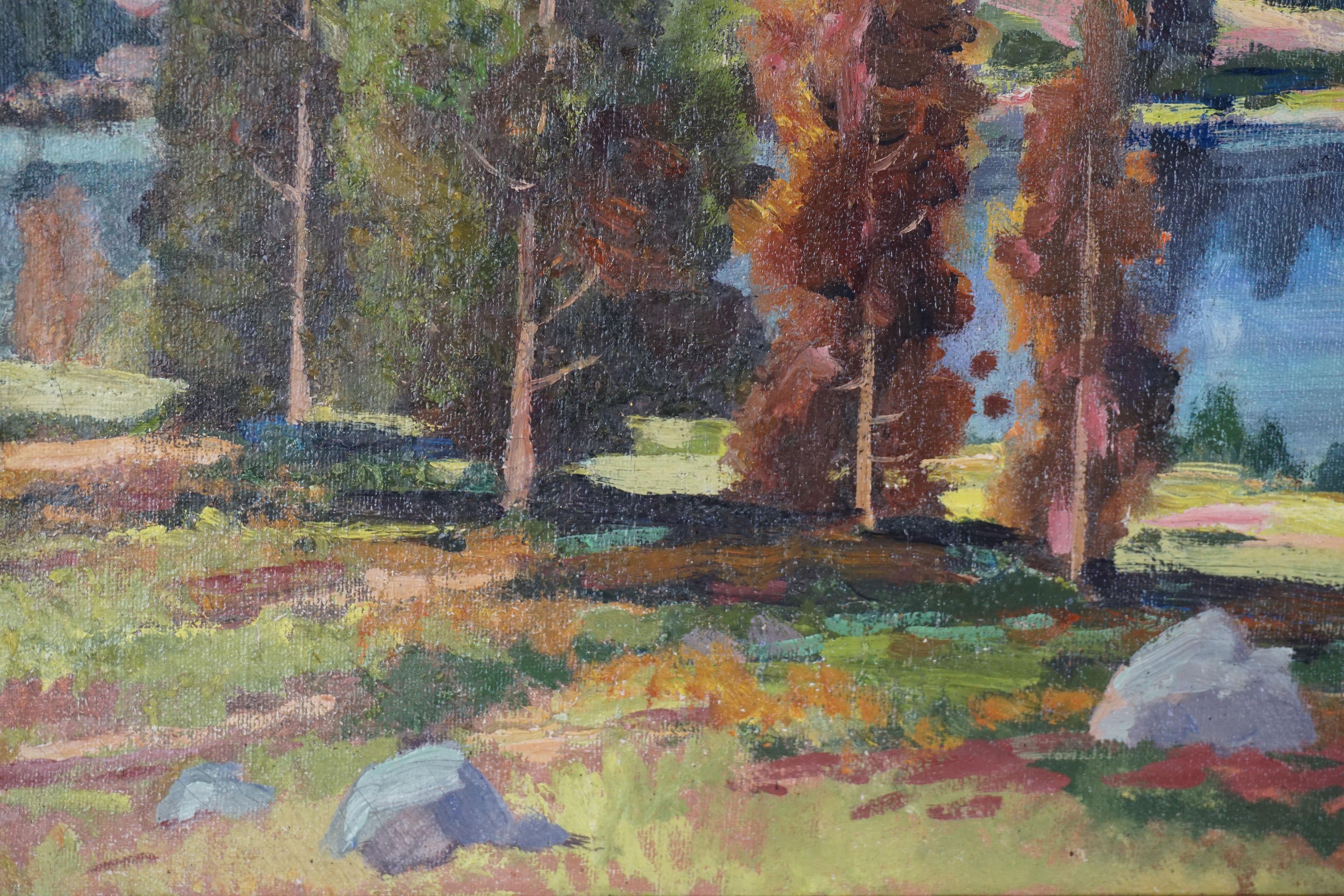 Paysage de montagnes de la Sierra Mountain des années 1940 - 