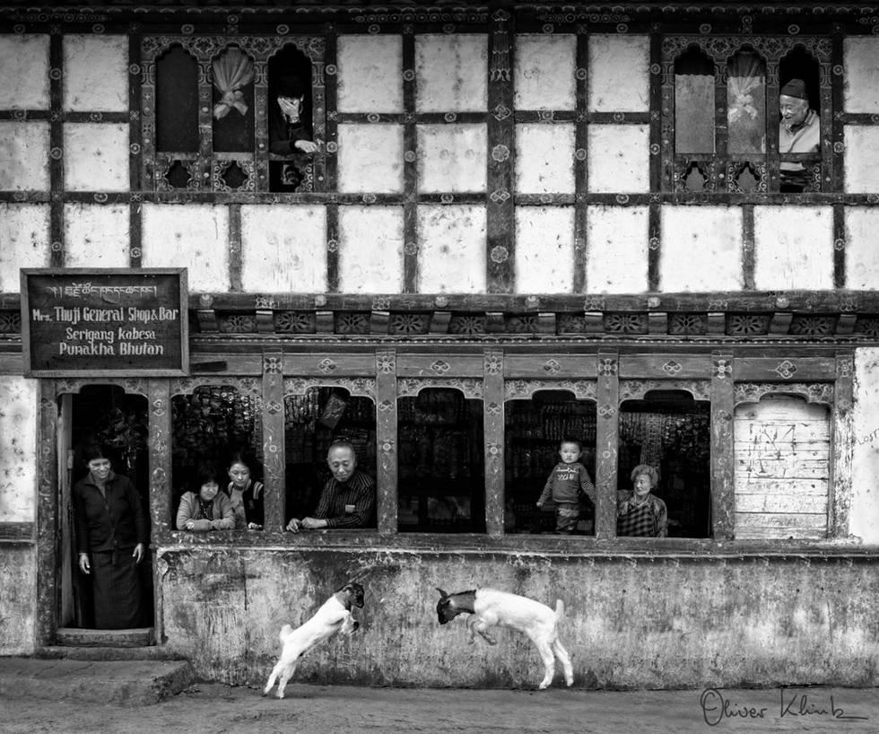 Black and White Photograph Oliver Klink - Instinct d'herding