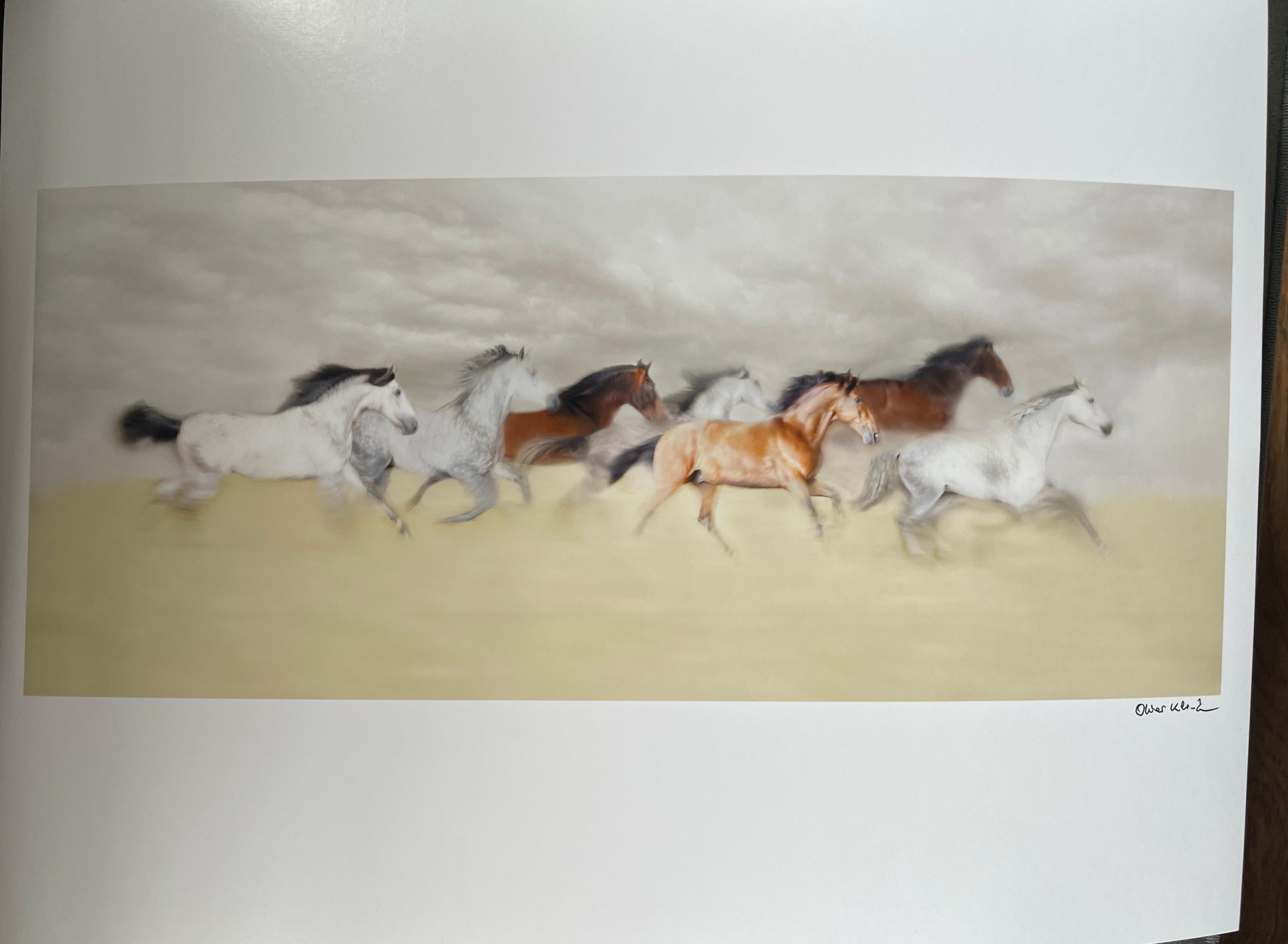 Rennpferde – Photograph von Oliver Klink