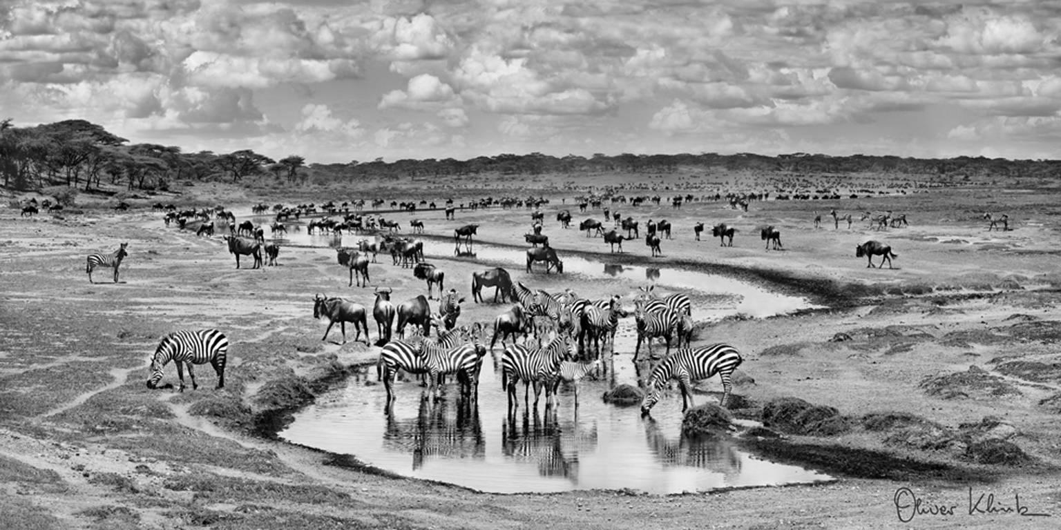 Oliver Klink Landscape Photograph - The Great Migration