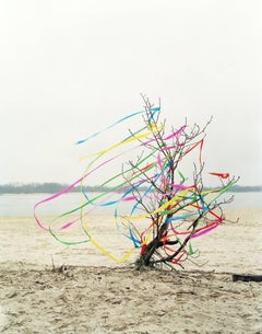 Contemporary Photography: Ribbon River