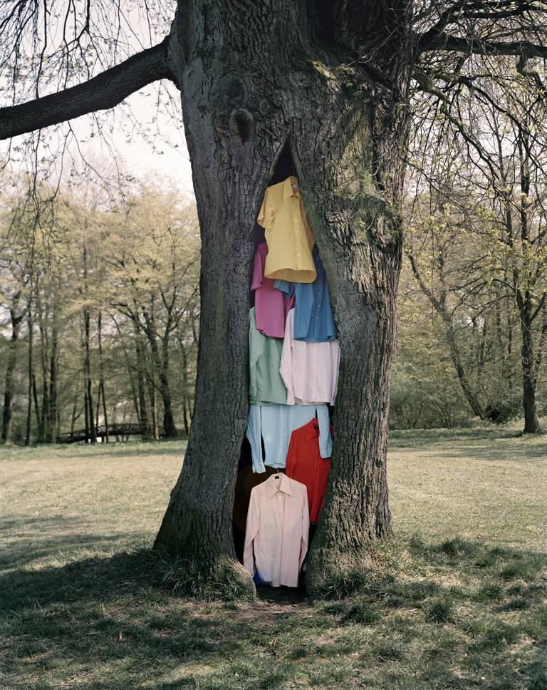 Oliver Schwarzwald Landscape Photograph - Contemporary Photography: Shirt Tree