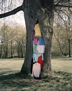 Contemporary Photography: Shirt Tree
