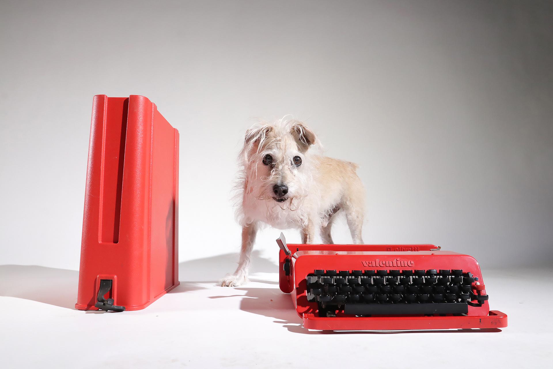 Olivetti valentine typewriter designed by Ettore Sottsass & Perry King in 1969
It is part of the permanent collection of the MOMA in New York, Triennlale Design Museum in Milan.
Winner of the Golden Compass.
It was also auctioned into David