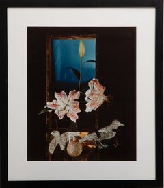 Olivia Parker "Americana, nacida en 1941", "Naturaleza muerta surrealista" Pri