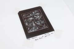 Olivia Parker Plumas de faisán Fotografía original firmada en gelatina de plata 1976