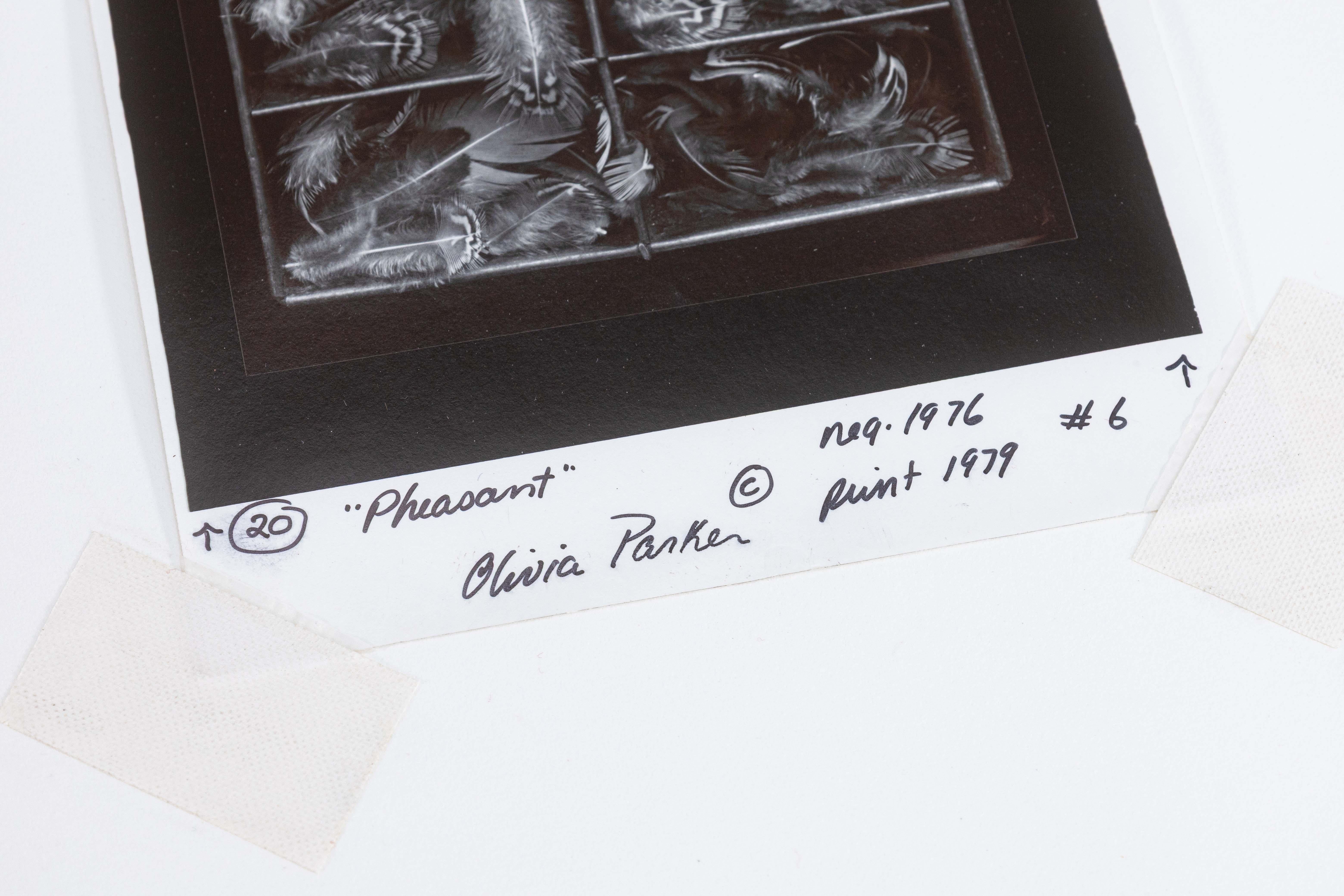 Américain Olivia Parker Pheasant Feathers Photographie originale signée à la gélatine argentée 1976 en vente