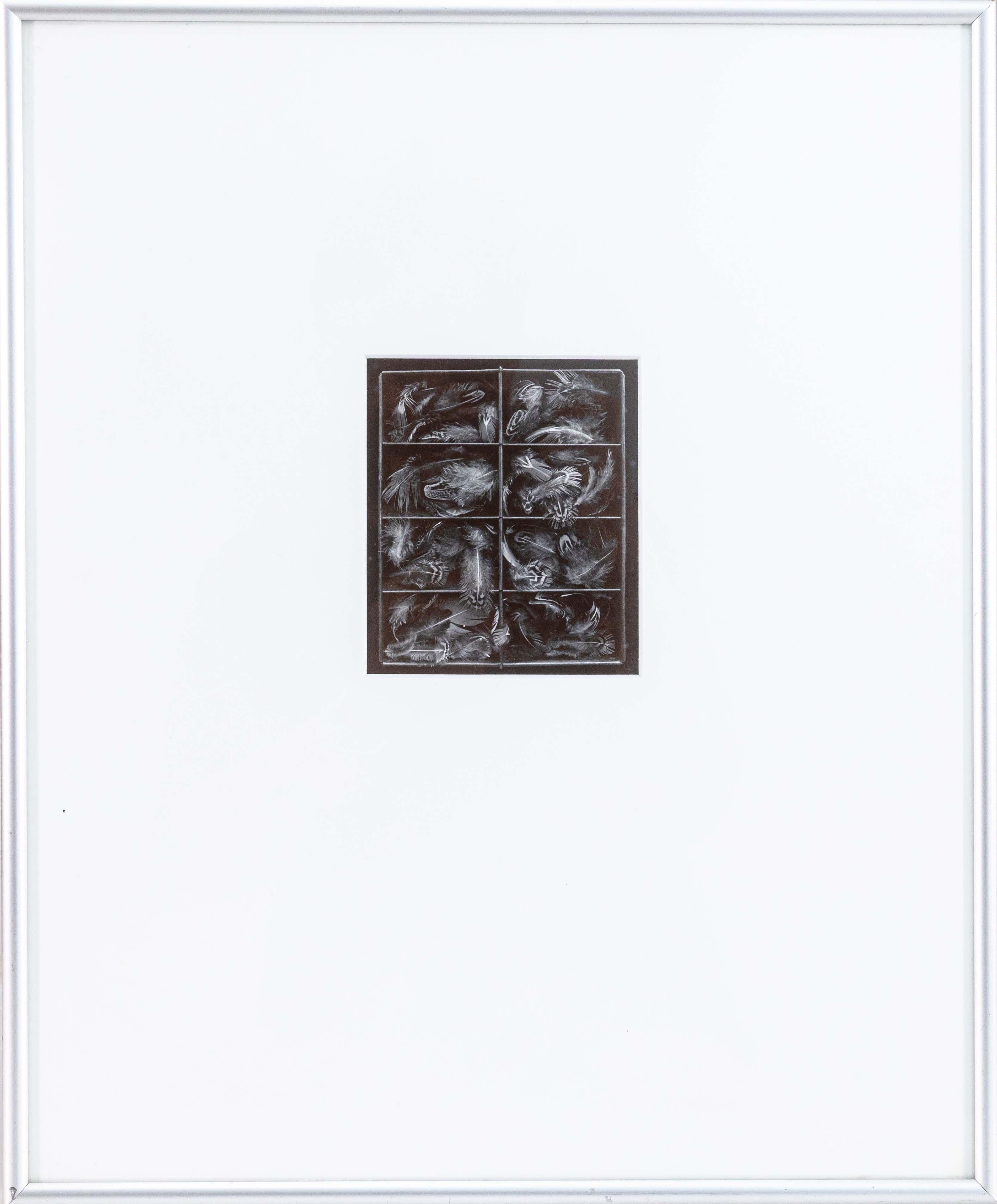 Olivia Parker Pheasant Feathers Photographie originale signée à la gélatine argentée 1976 Bon état - En vente à Keego Harbor, MI