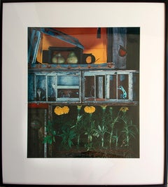 Cellar Marigold  Dandelion