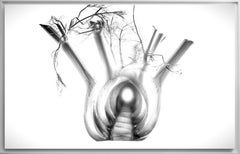 Foto contemporanea francese di Olivier Attar - Cell