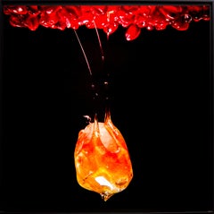 Foto contemporanea francese di Olivier Attar - Grrr