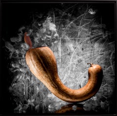 Französisches zeitgenössisches Foto von Olivier Attar - La Plume