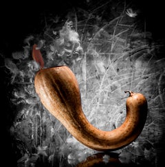 Fotografía contemporánea francesa de Olivier Attar - La Plume