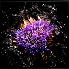 French Contemporary Photo by Olivier Attar - Rocknrollartishow