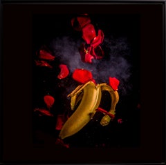 Foto contemporanea francese di Olivier Attar - WaBasAtt