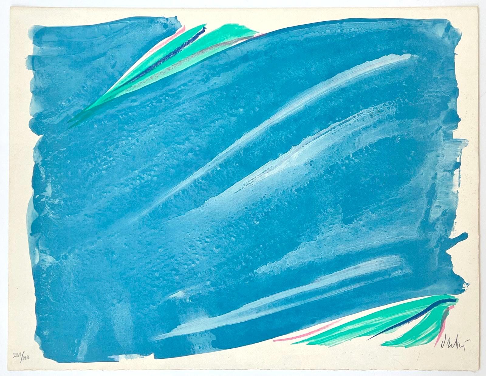 Signe-Paysage - Print by Olivier Debre