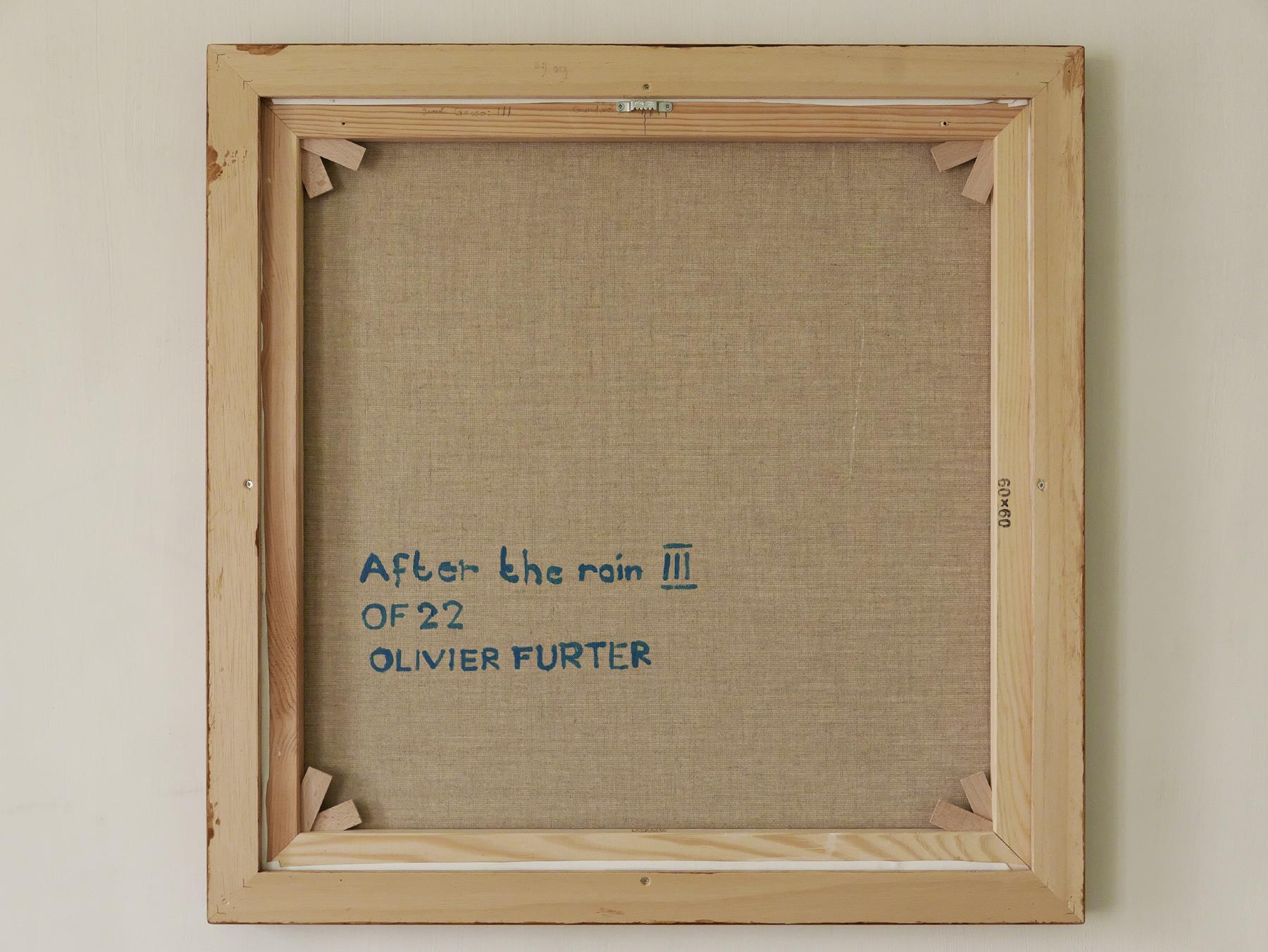 Arte contemporáneo suizo de Olivier Furter - Después de la lluvia III en venta 2
