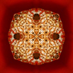 "Pépite 2", pepita d'oro su fotografia rossa stampata in modo semi-astratto su pannello Dibond