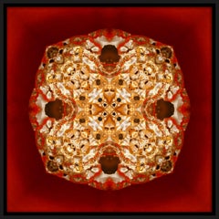 «pite 2 », photographie semi-abstraite imprimée en or sur panneau Dibond, couleur pépite d'or sur rouge