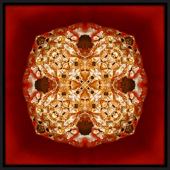 "Pépite 2", Gold Nugget on Red Semi-abstract Printed Photography on Dibond Panel