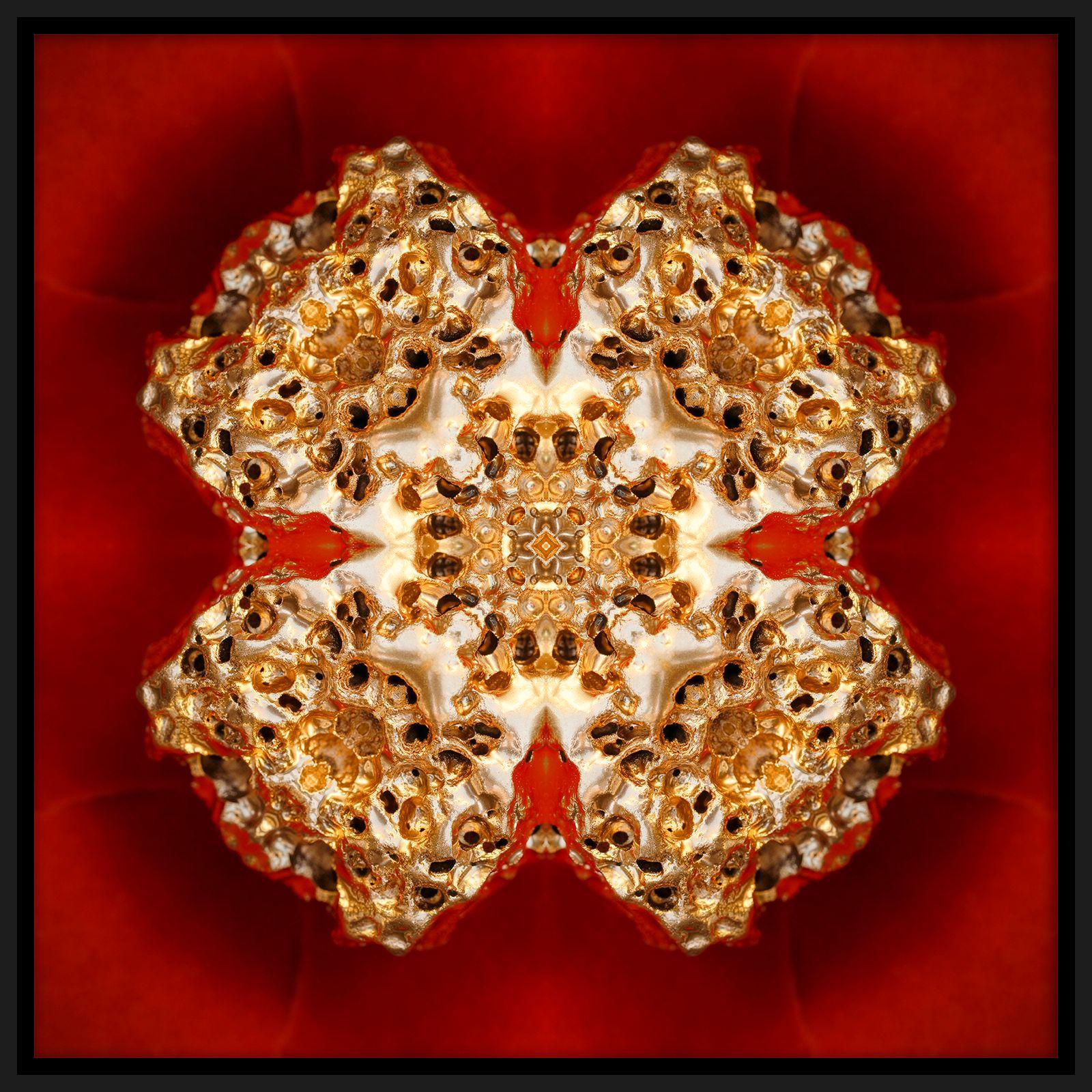 Olivier Muhlhoff Abstract Photograph - "Pépite 3", Gold Nugget on Red Semi-abstract Printed Photography on Dibond Panel