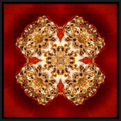 "Pépite 3", Pepita de oro sobre fotografía semiabstracta impresa en rojo sobre panel de dibond