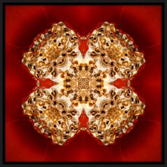 "Pépite 3", Gold Nugget on Red Semi-abstract Printed Photography on Dibond Panel