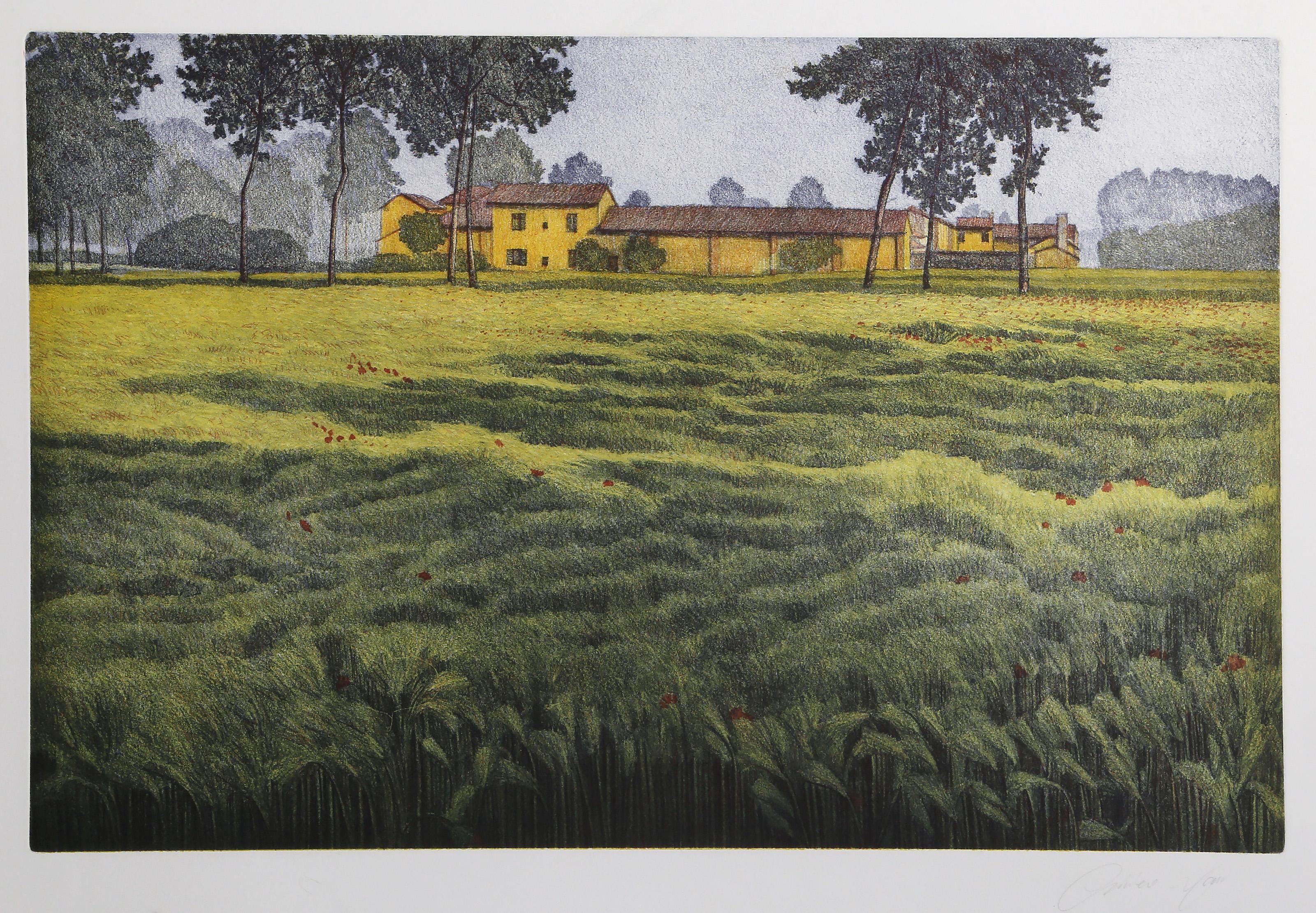 Oliviero Masi, Italian (1948 - ) - Summer Field, Year:  circa 1990, Medium:  Lithograph, signed in pencil lower right, Image Size:  15.25 x 23.5 inches, Size:  22 x 29.75 in. (55.88 x 75.57 cm)
